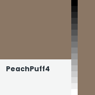 Color chip: PeachPuff4
