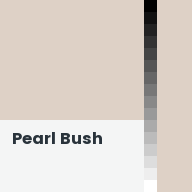 Color chip: Pearl Bush
