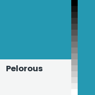 Color chip: Pelorous