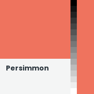 Color chip: Persimmon