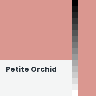 Color chip: Petite Orchid