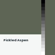 Color chip: Pickled Aspen