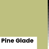 Color chip: Pine Glade