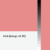 Color chip: Pink (Bang-v3 25)