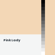 Color chip: Pink Lady