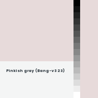 Color chip: Pinkish gray (Bang-v3 23)