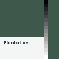Color chip: Plantation