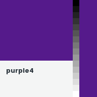 Color chip: purple4