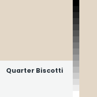Color chip: Quarter Biscotti