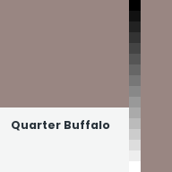 Color chip: Quarter Buffalo