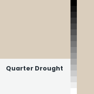 Color chip: Quarter Drought
