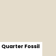 Color chip: Quarter Fossil