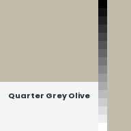 Color chip: Quarter Grey Olive