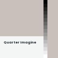 Color chip: Quarter Imagine