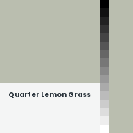 Color chip: Quarter Lemon Grass