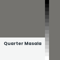 Color chip: Quarter Masala
