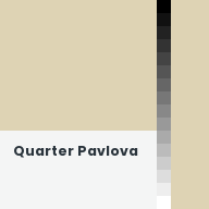 Color chip: Quarter Pavlova