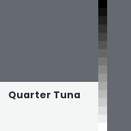 Color chip: Quarter Tuna