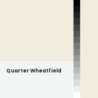 Color chip: Quarter Wheatfield