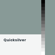Color chip: Quicksilver