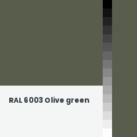 Color chip: RAL 6003 Olive green