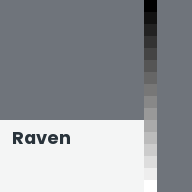 Color chip: Raven