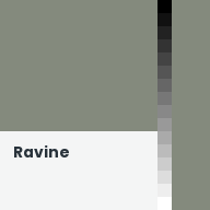 Color chip: Ravine