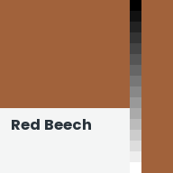 Color chip: Red Beech