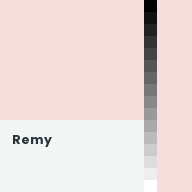 Color chip: Remy
