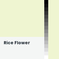Color chip: Rice Flower