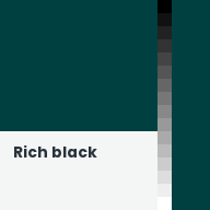 Color chip: Rich black