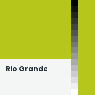 Color chip: Rio Grande