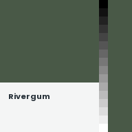 Color chip: Rivergum