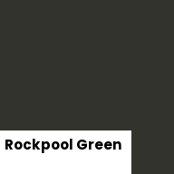 Color chip: Rockpool Green