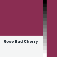 Color chip: Rose Bud Cherry