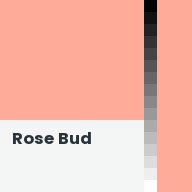 Color chip: Rose Bud