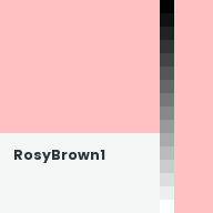 Color chip: RosyBrown1