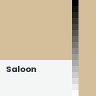 Color chip: Saloon