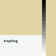 Color chip: Sapling