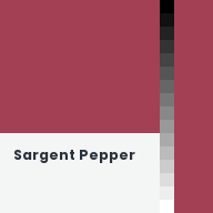 Color chip: Sargent Pepper