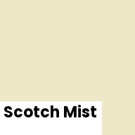 Color chip: Scotch Mist