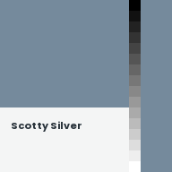 Color chip: Scotty Silver