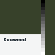 Color chip: Seaweed