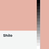 Color chip: Shilo