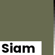 Color chip: Siam