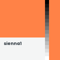 Color chip: sienna1