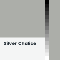 Color chip: Silver Chalice