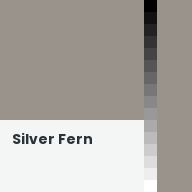 Color chip: Silver Fern