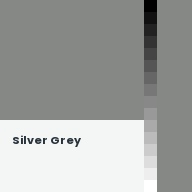 Color chip: Silver Grey