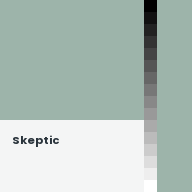 Color chip: Skeptic